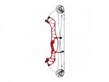 Hoyt Compound Bow Concept FX Gloss Limbs