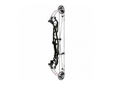 Hoyt Compound Bow Concept X 37 Gloss Limbs